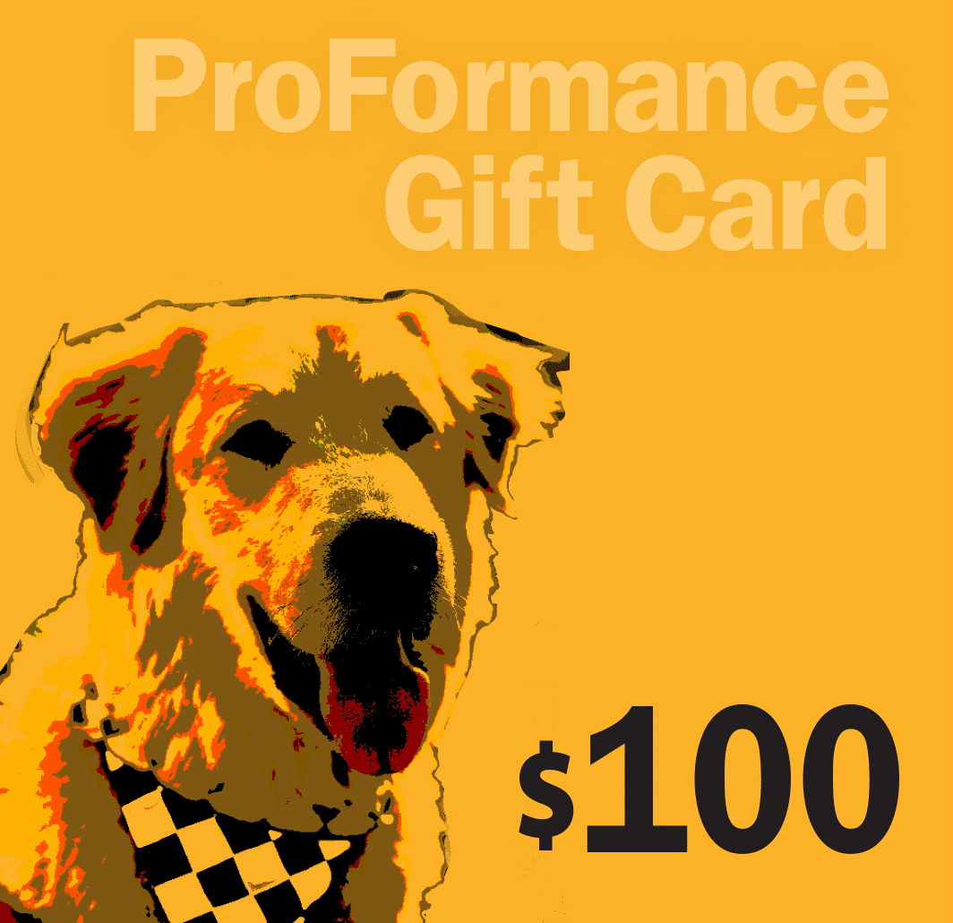 $100.00 Gift Certificate