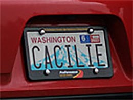 Cacile-bertha-benz-license-plate